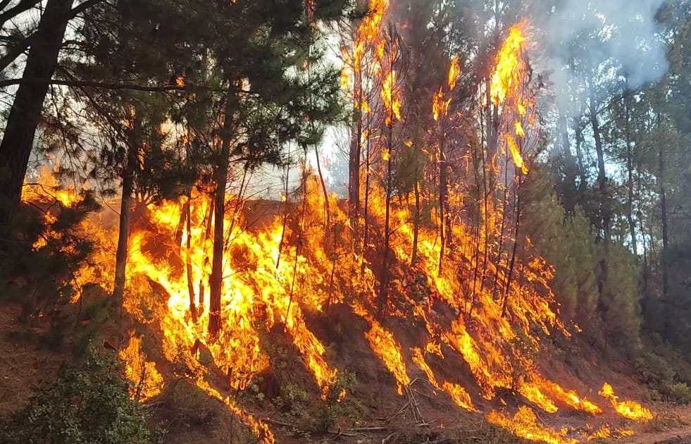 Santa Juana en Alerta: Declarada Emergencia Preventiva por Riesgo de Incendios