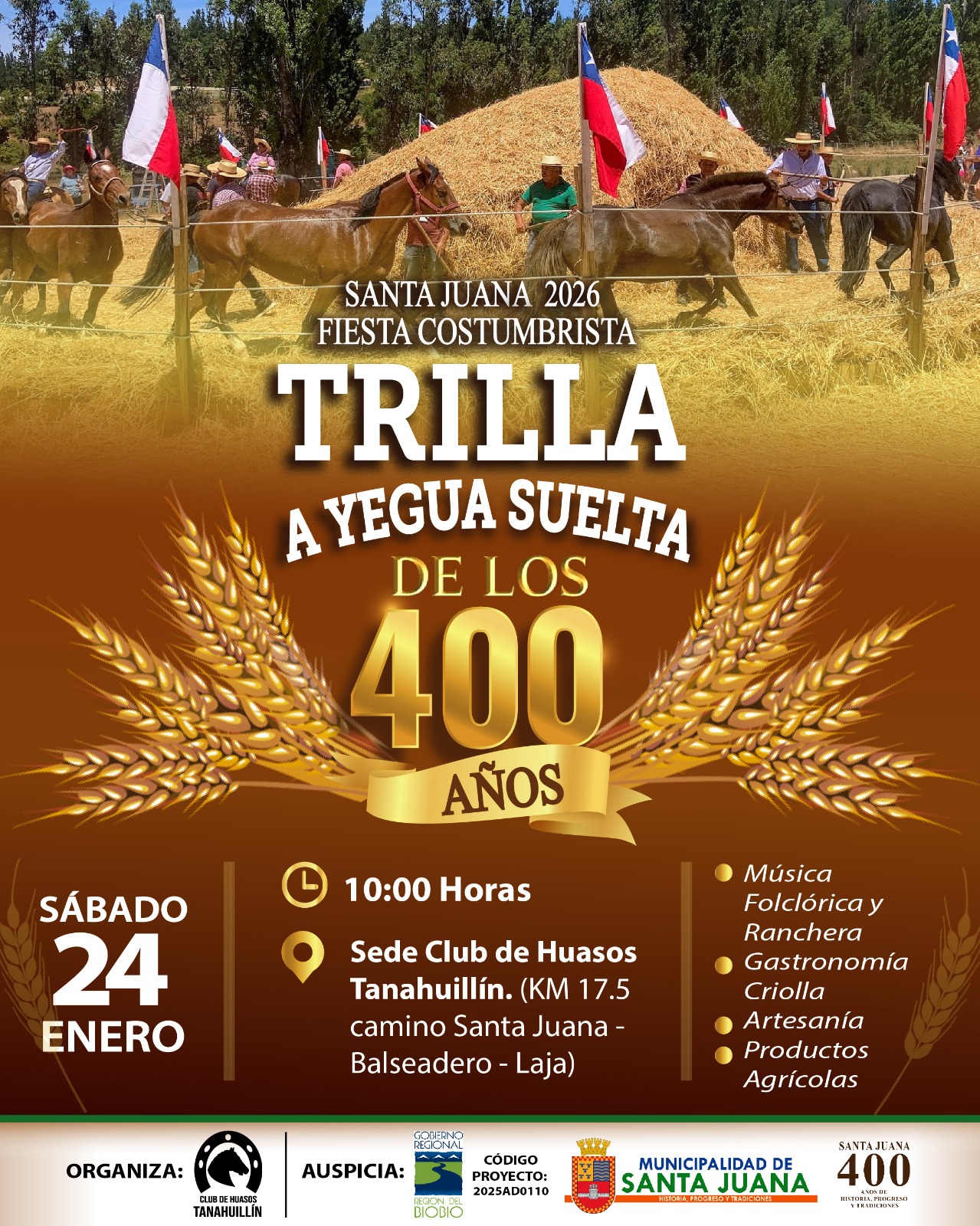 TRILLA A YEGUA SUELTA