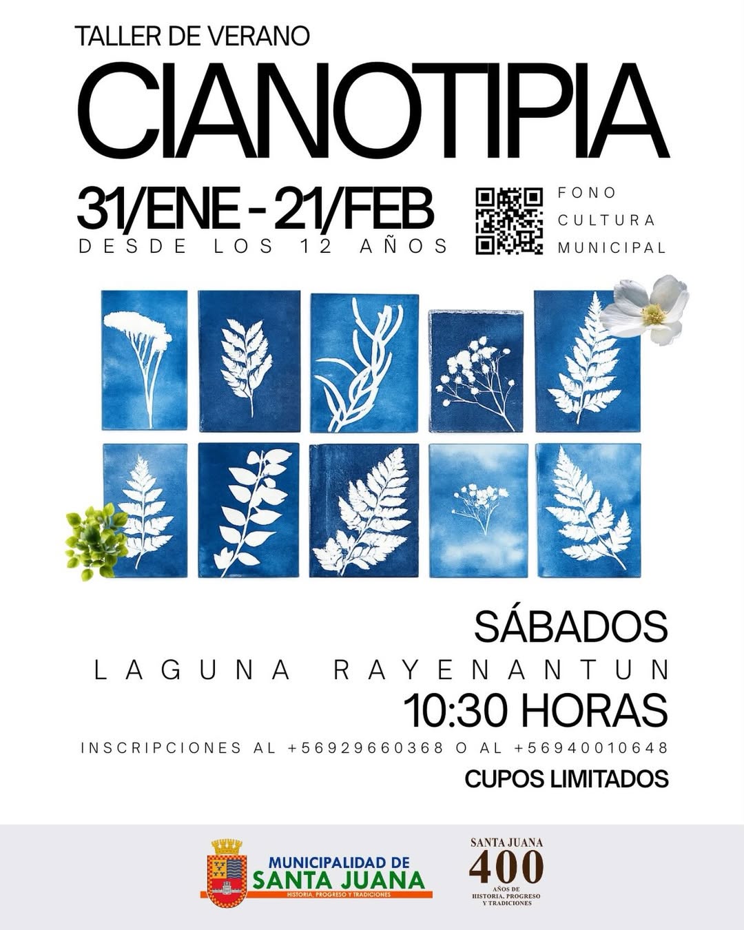 Taller de Verano | Cianotipia